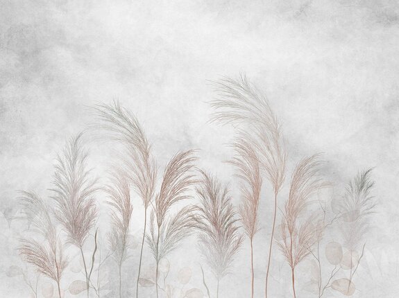 Eucalyptusgrassen en -bladeren