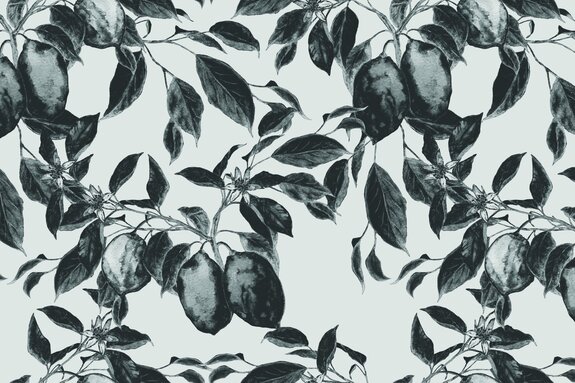 Monochrome illustratie van een fruitboom