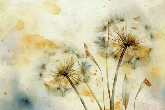 Een delicate aquarel met een paardenbloemmotief