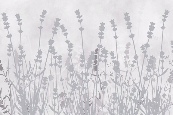 Grijze schaduwen van lavendelbloemen tegen de betonnen achtergrond