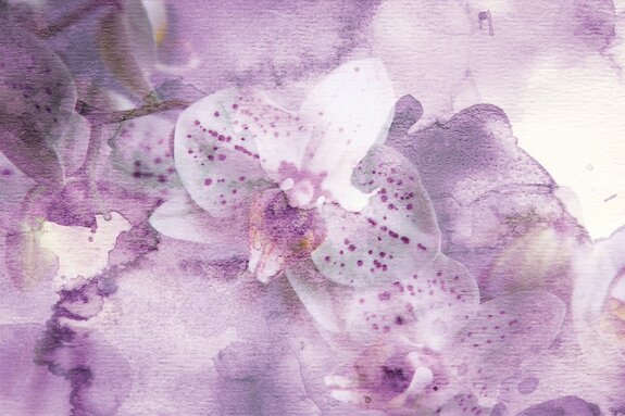 Aquarelcompositie van roze orchideeën