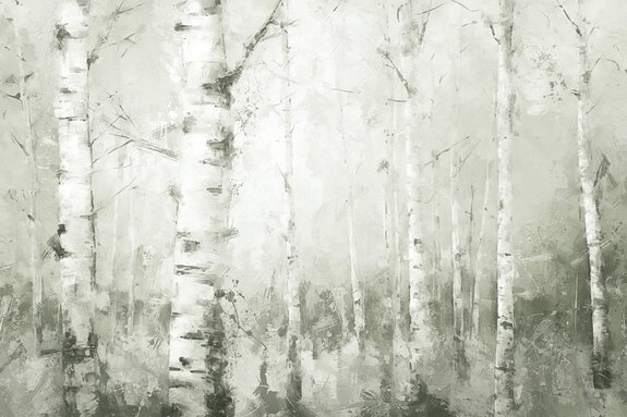 Schilderachtig landschap met berkenbomen