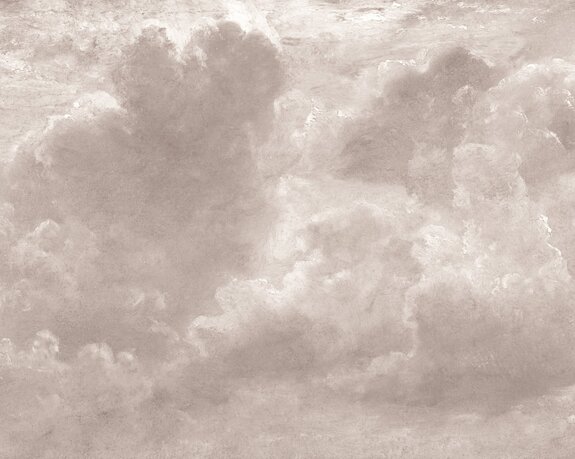 Monochromatische lucht met wolken