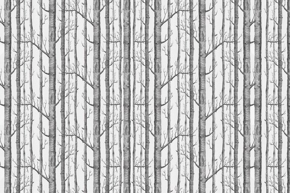 Slanke grijze bomen op een lichte achtergrond