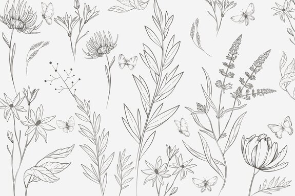 Butterflies and wild plants in minimalist style, natural pattern