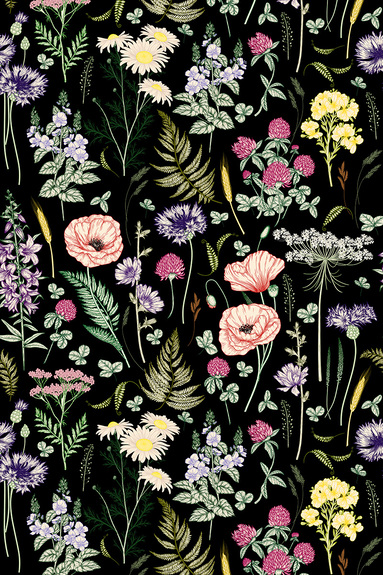 Wilde bloemen op zwarte achtergrond