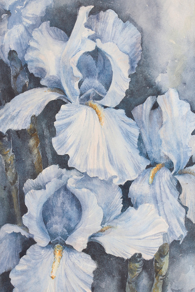 Lichtblauwe irissen in aquarelstijl