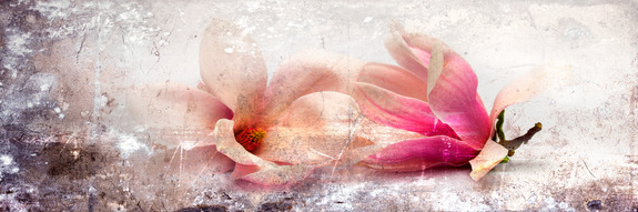 Magnolia story (1 part) narrow