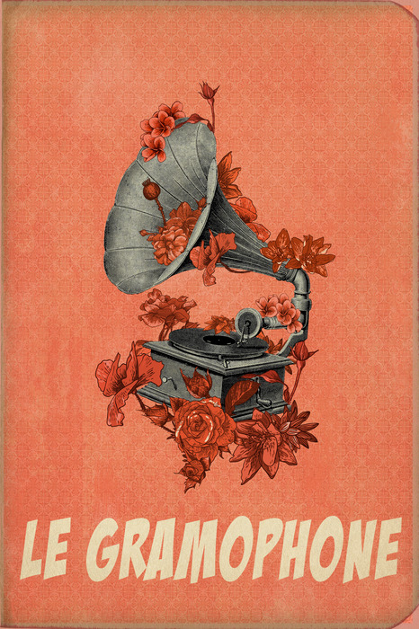 Een grammofoon tussen rode bloemen