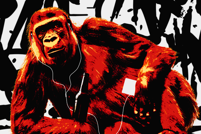 Oranje chimpansee met koptelefoon