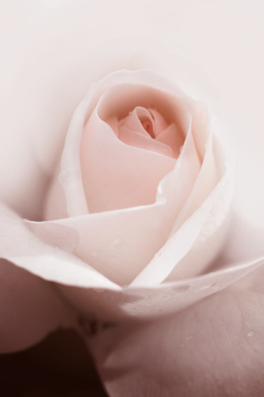 Level of feelings (1 part) vertical