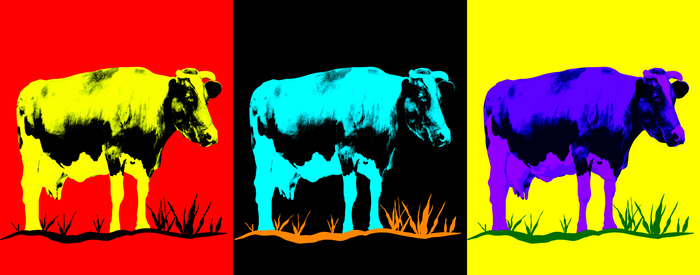 Drie kleurrijke koeien in pop-artstijl
