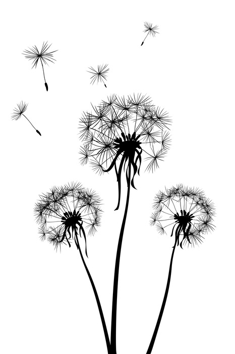 Minimalistische paardenbloemen met drijvende zaden