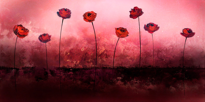 Rode rozenbloemen op een roze-rode achtergrond