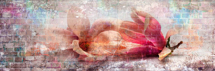 Magnoliabloemen in een pastelcompositie met baksteen