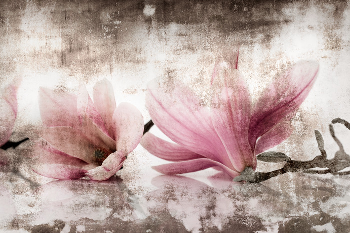 Vintage magnolia&#39;s op een gestructureerde achtergrond