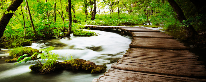 Natuurlijk boslandschap met een rivier