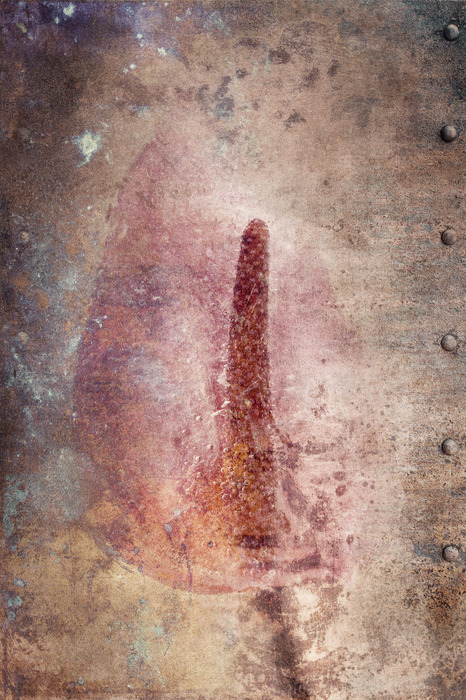 Geschilderde abstractie met een rode bloem