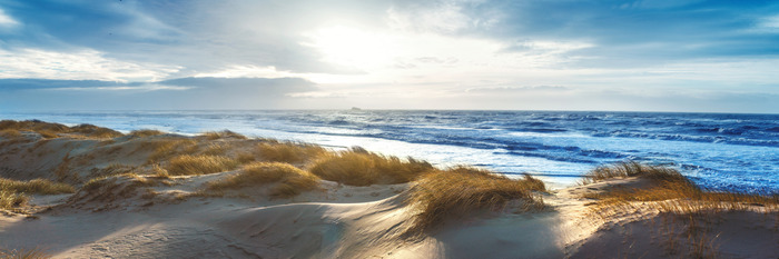 Duinkust met hoog gras