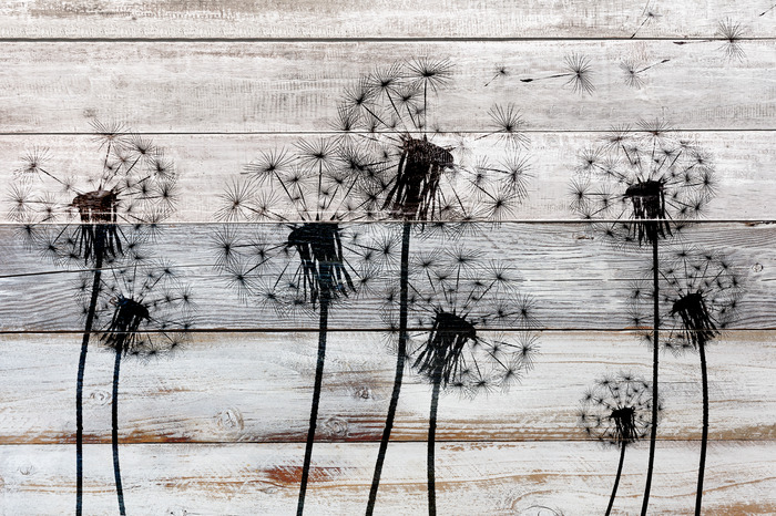 Zwart paardenbloemmotief op hout