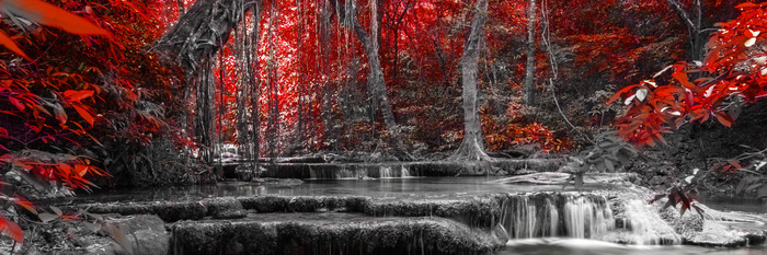 Waterval en rode boombladeren