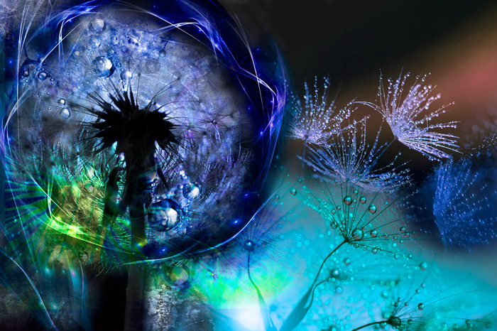 Blauwgroene paardenbloem in neonlicht