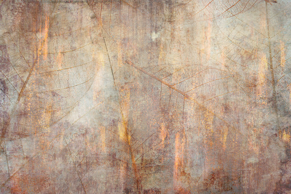 Dance of the senses (1 part) wide