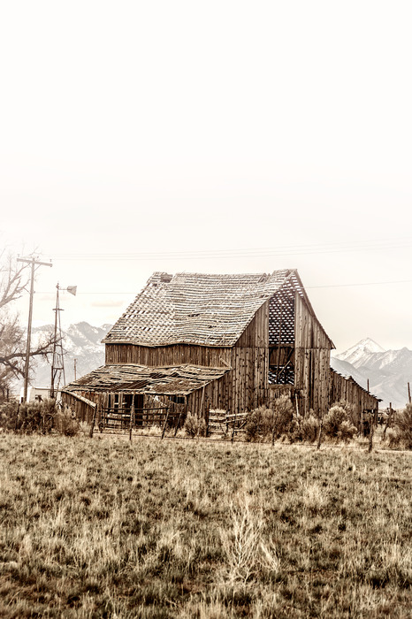 Verlaten houten schuur midden in de wildernis