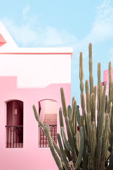 Een roze huis en een cactus tegen een blauwe lucht