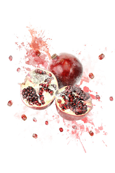 Granaatappels beschilderd met waterverf