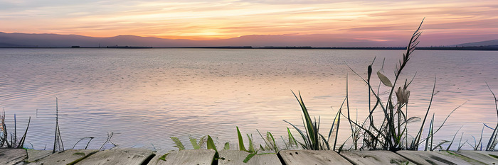 Een houten steiger en riet boven een kalm meer