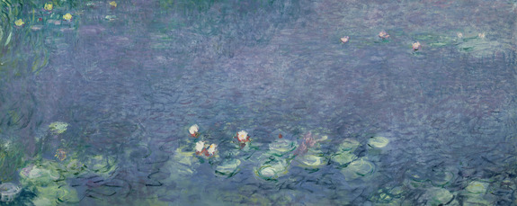 Delicate waterlelies in de natuurlijke omgeving van de rivier