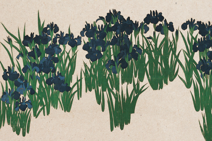 Een natuurlijke weide vol blauwe bloemen en wilde planten