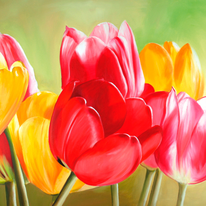 Rode en gele tulpen in sappige kleuren