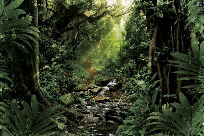 Een rivierstroom in een tropisch bos