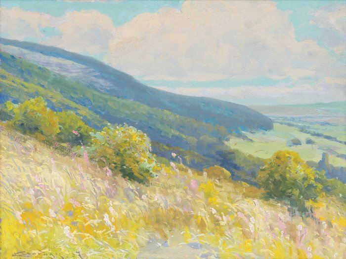 Begroeide hellingen in het licht van een zomermorgen