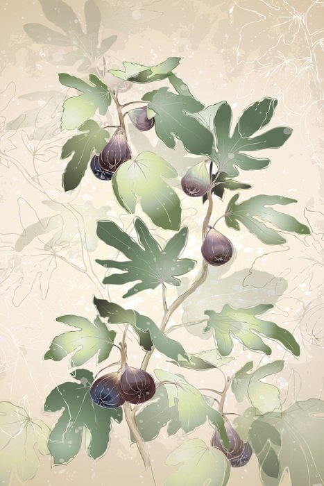 Natuurlijke vijgentak met sappig fruit en bladeren