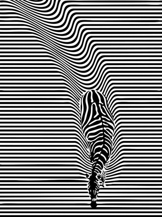 Zwart-witte lijnen in een zebra-illusie