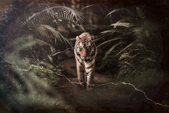 Een tijger in een tropisch struikgewas van bladeren