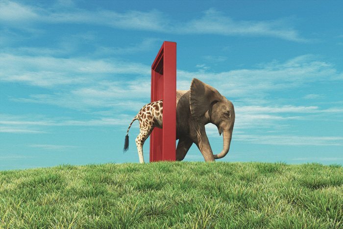 Abstracte grens tussen olifant en giraffe