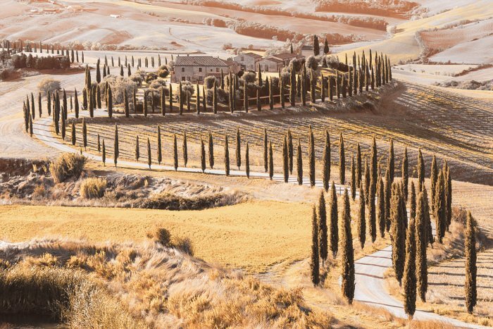 De groene heuvels van toscane bedekt met weelderige vegetatie