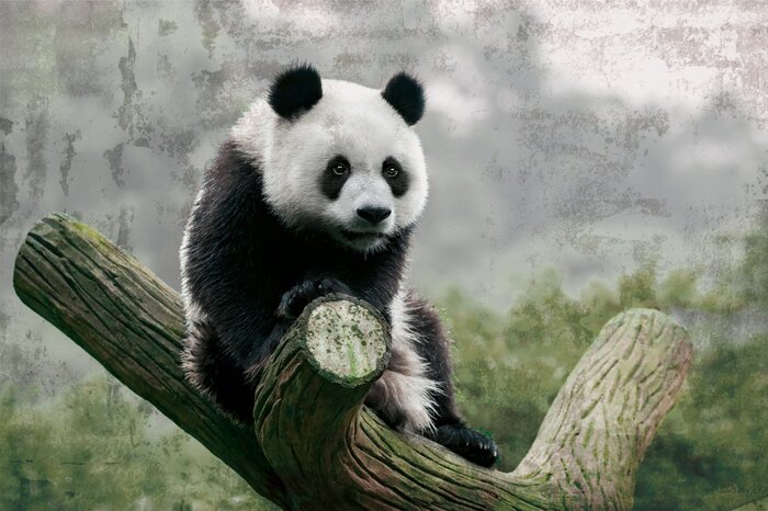 Een eenzame panda in de mist