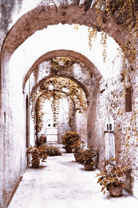 Een pittoresk stenen straatje te midden van weelderig groen