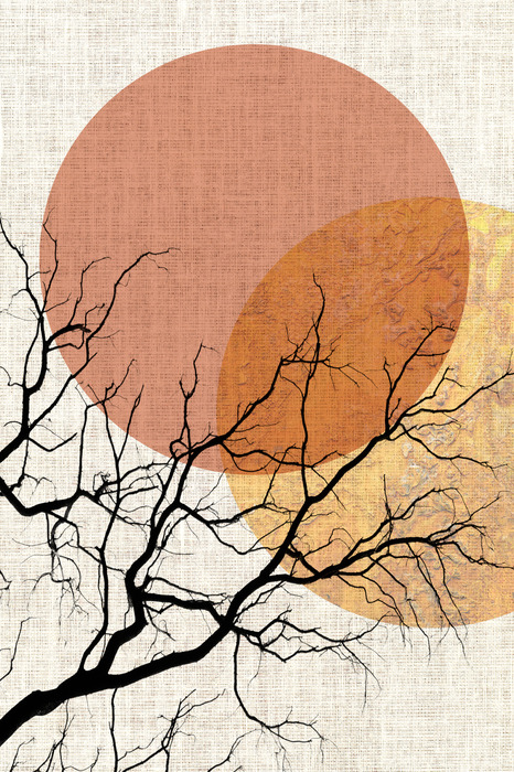 Abstracte zonsondergang en zwarte tak