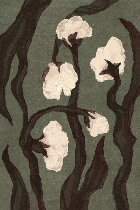 Moderne illustratie van witte bloemen