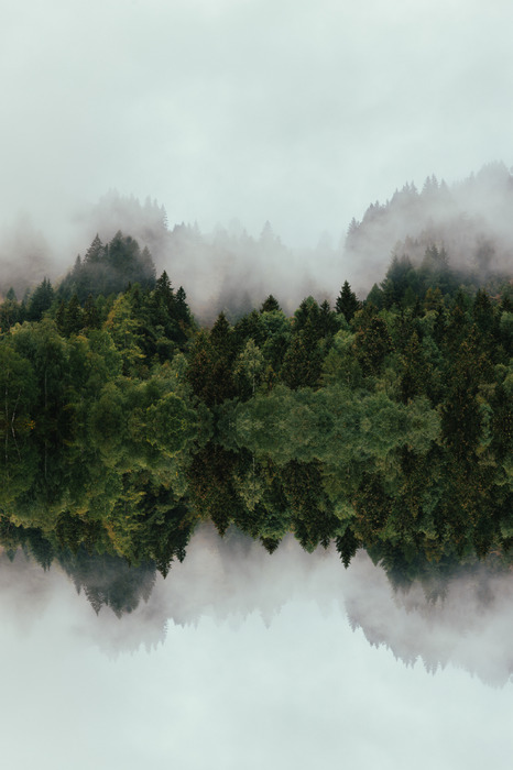De symmetrie van de natuur in bomen en wolken