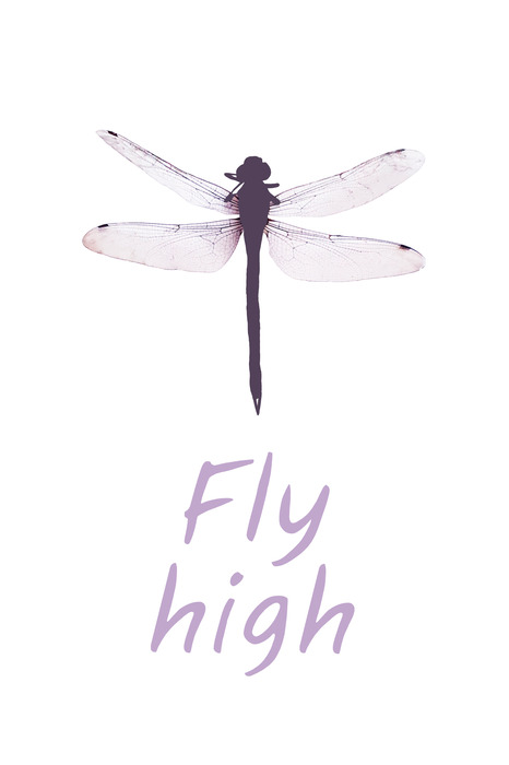 Minimalistische inscriptie met een libel