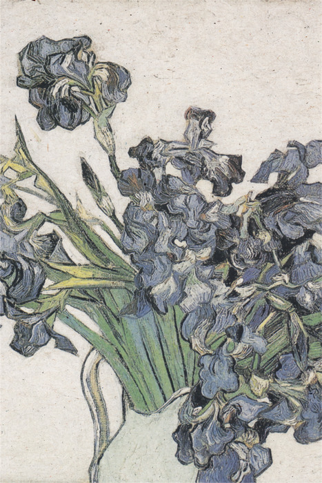 Een delicaat botanisch schilderij met irissen