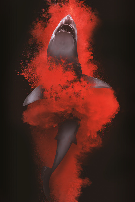 Abstracte haai in rood