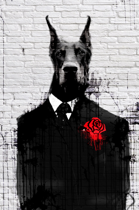 Portret van een dobermann in een zwart pak tegen een bakstenen achtergrond